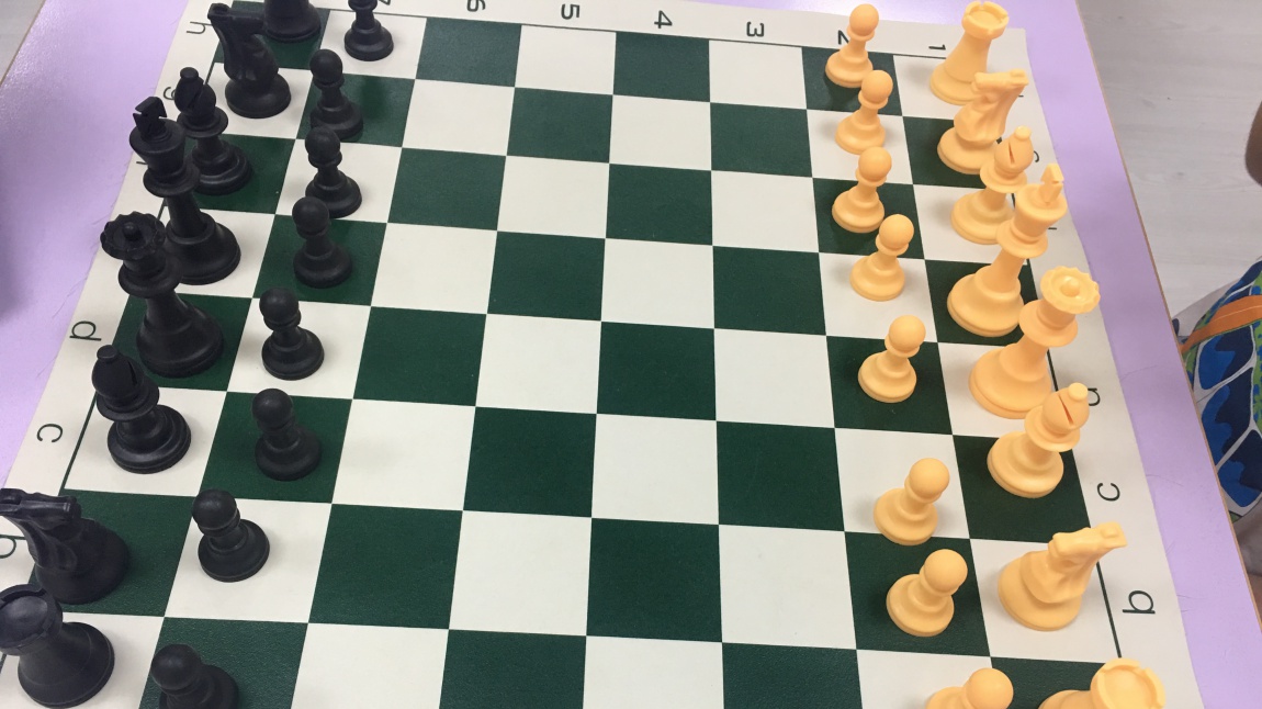 Satranç Turnuvası 2022